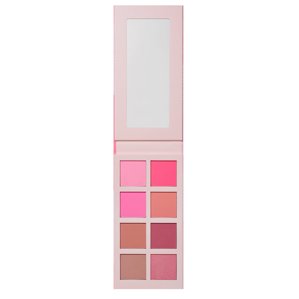 Blushed and Bronzed Blurring pro palettes
